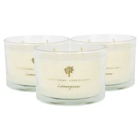 Home Fragrance | Soy Wax Scented Candles - 350g - Lemongrass - Pack of 3 | Nicola Spring