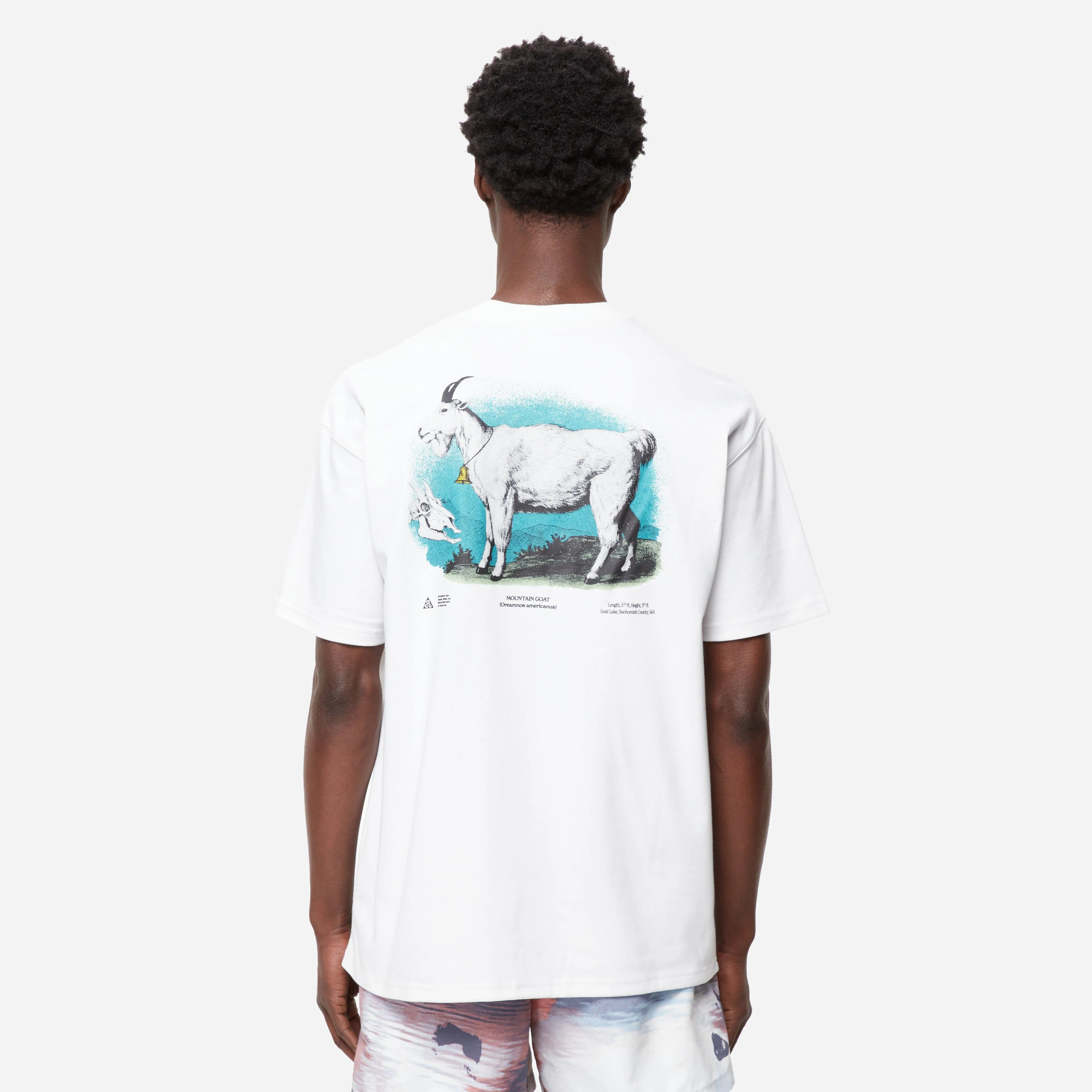 Nike ACG Dri-FIT Goat T-Shirt