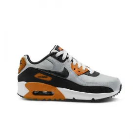 Nike Big Kids Air Max 90 Ltr (pure platinum / black-summit white-monarch)