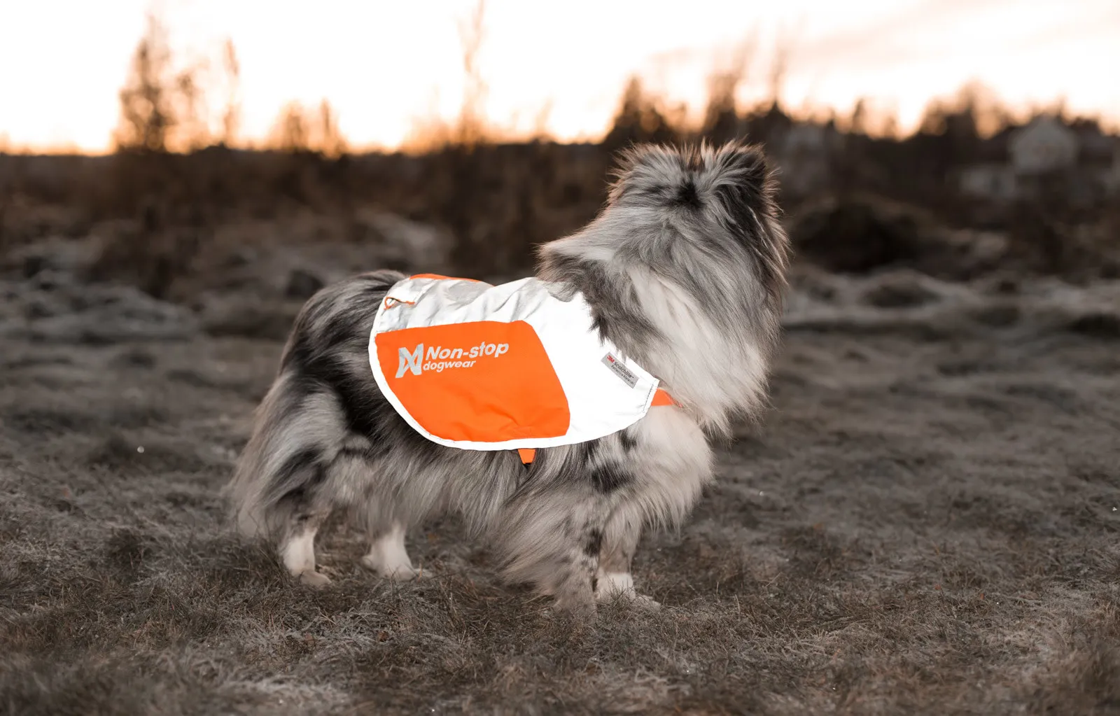 Non-stop Dogwear Reflection Blanket Orange | Buy Non-stop Dogwear Reflection Blanket Orange here | Outnorth