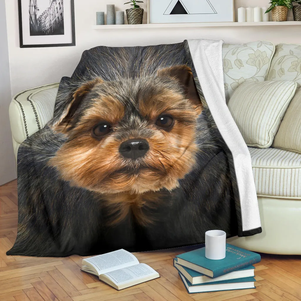 Premium Blanket Yorkshire Terrier Face Hair Blanket