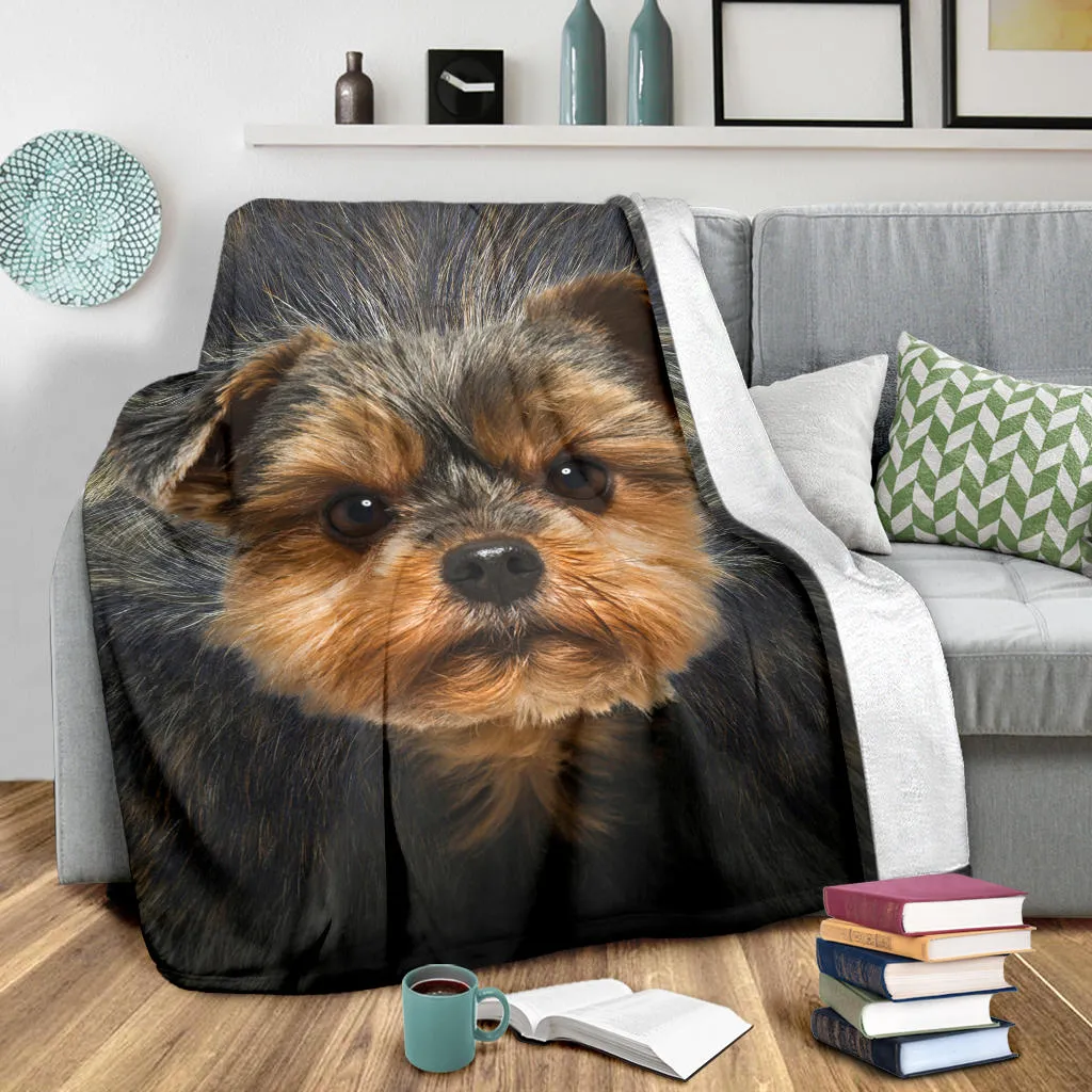 Premium Blanket Yorkshire Terrier Face Hair Blanket