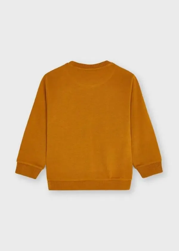 Pullover skater for boy - Ginger